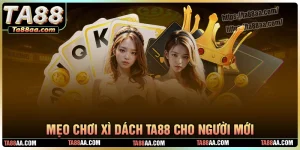 Những mẹo chơi bài xì dách không sợ bị quắc